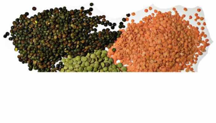 Organic Masoor Dal (Red Lentils)